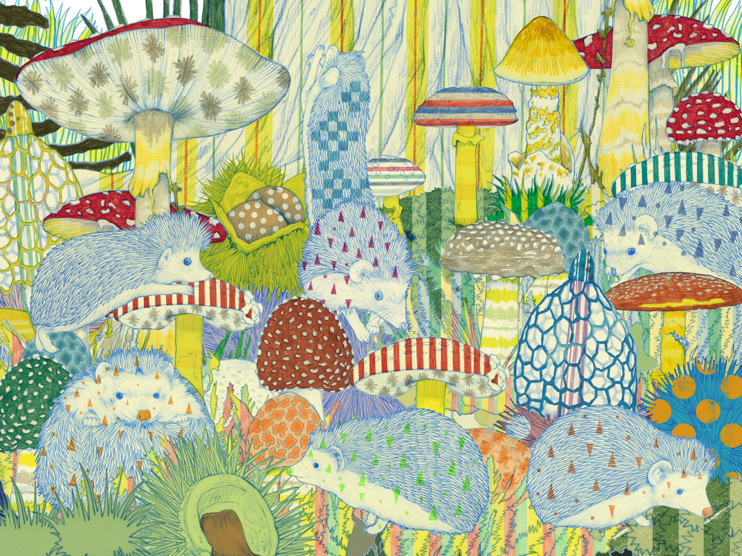 Hedgehog in the Mushroom Forest ／ Wonder Color Pencil