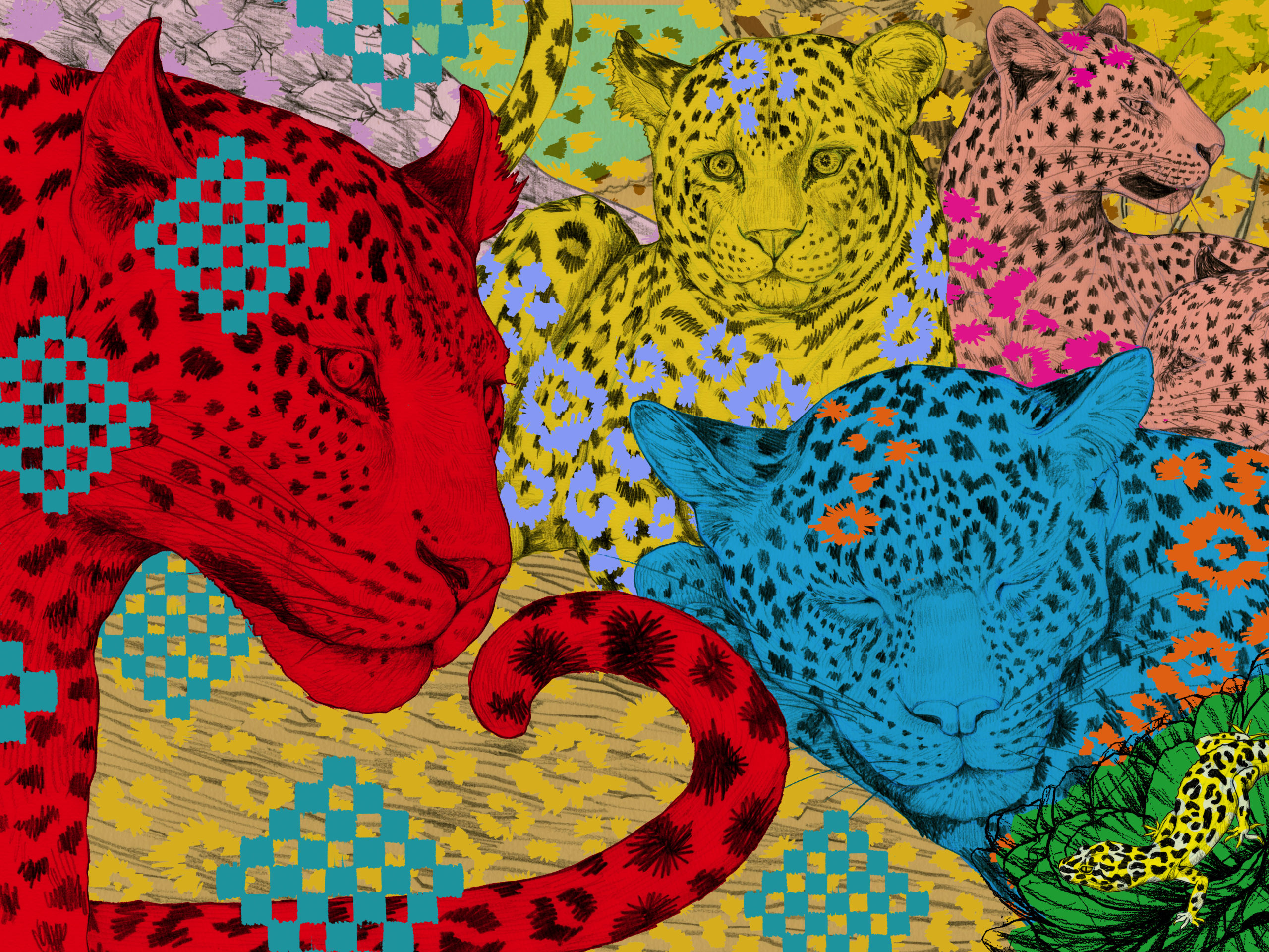 Colorful Panthers ／ Wonder Color Pencil