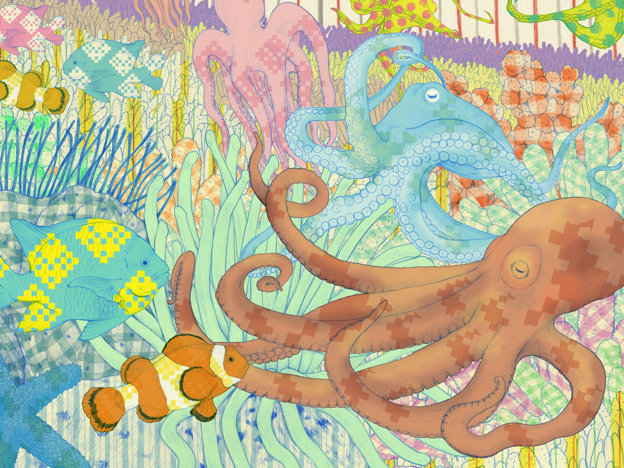 Octopus Party n the Sea  ／ Wonder Color Pencil