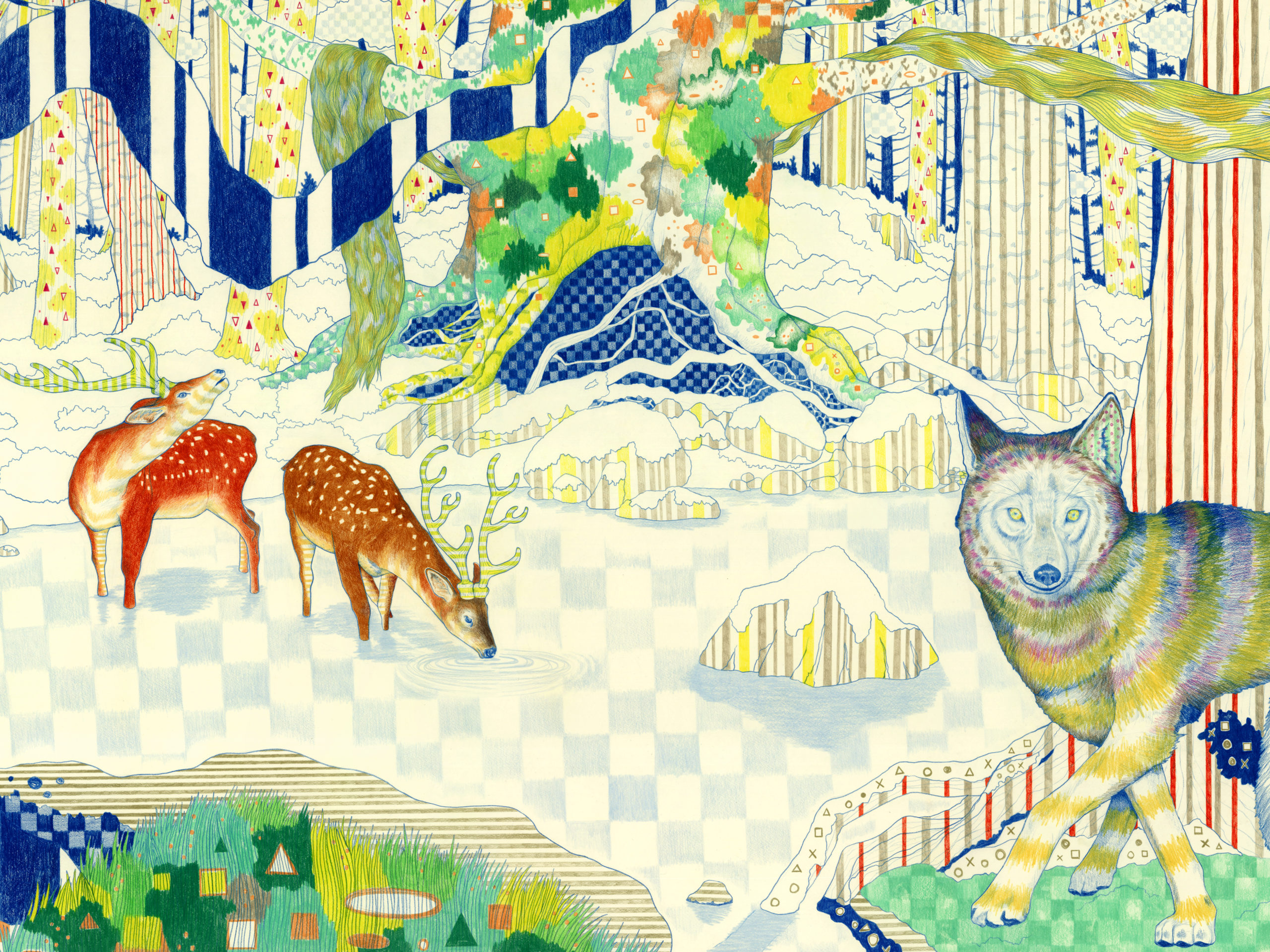 借景series  ideal forest 2／1000✖️2000mm ／ 個展『おそらく、永遠に片思い』 – hpgrp gallery TOKYO／Wonder Color Pencil